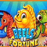 Reels Of Fortune