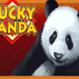 icon lucky panda