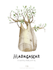 Madagascar.png