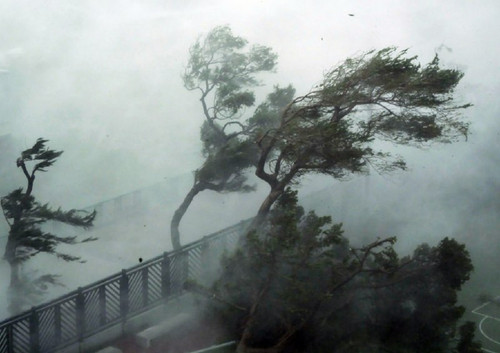 pRjun6Od0A4Hm8ERUGNG70bl8P4JzAXeKMugmgpRNqhE8v9gENzGumtqUj Uswm9DGjza1fmiDr242caGS4yBSCLFwhkO6aXabvr.jpg