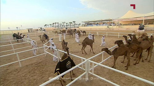 ENJE7FVY6BST 6v3.jpg