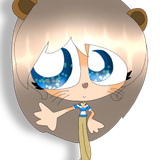 little racoon