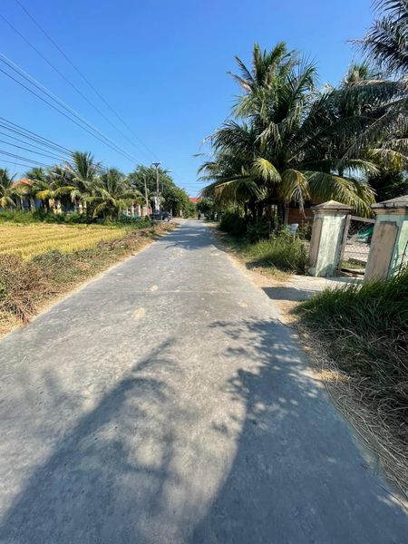 455778366 1027076412162402 8162055657640438572 n.jpg