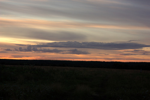 IMG 2468.jpg