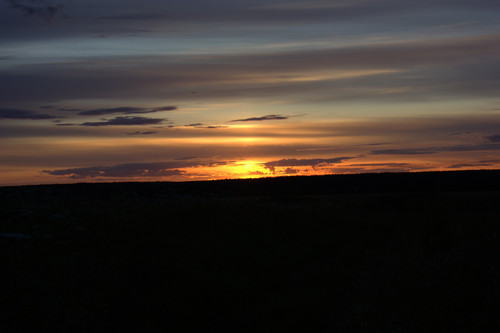 IMG 2469.jpg