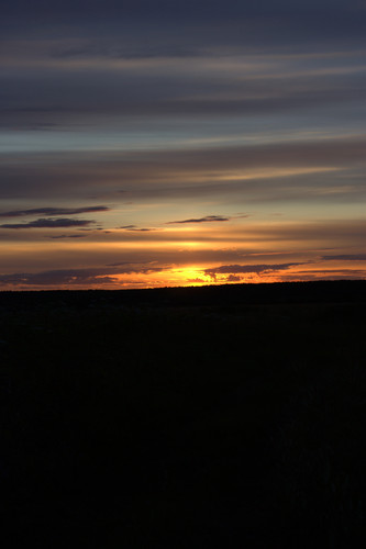 IMG 2470.jpg