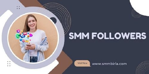 THE ULTIMATE GUIDE TO CHOOSING THE RIGHT MEDIA MARKETING PANEL FOR SMM FOLLOWERS.jpg