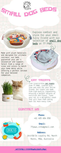 Choosing The Best Small Dog Beds for Your Pet.jpg
