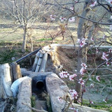 khanik ferdows923