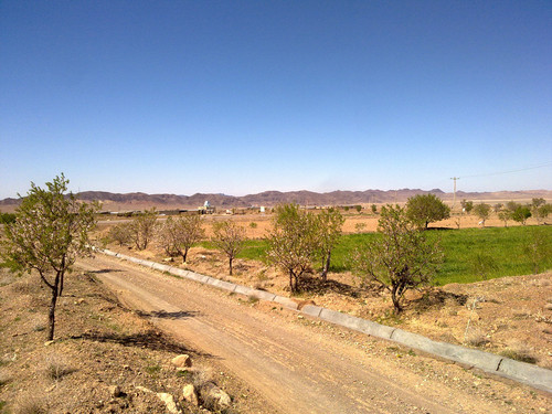 20130323628.jpg