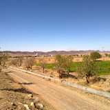20130323628