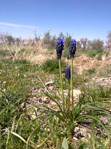 20130324633.jpg
