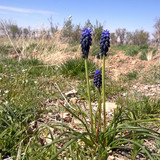 20130324633