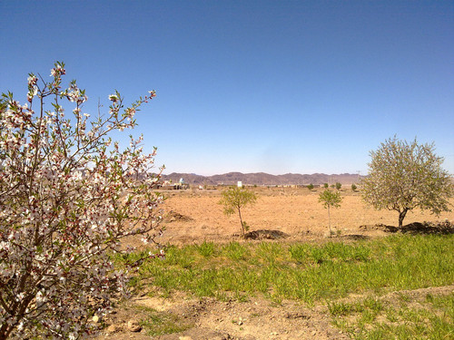 20130323629.jpg