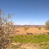 20130323629