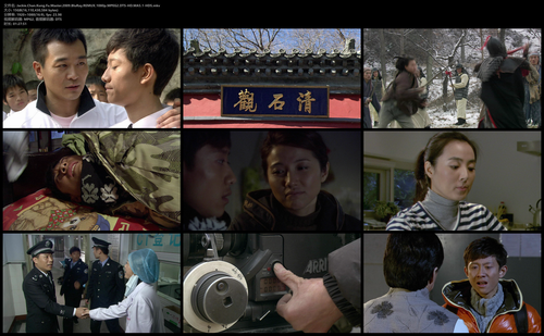 Jackie.Chan.Kung.Fu.Master.2009.BluRay.REMUX.1080p.MPEG2.DTS HD.MA5.1 HDS.mkv.png