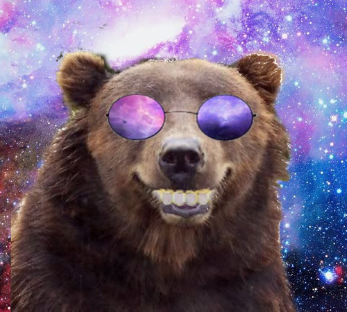 bear grillz.jpg
