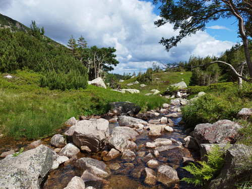 IMG 20220712 112131.jpg