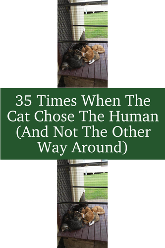 73b39176 dda7 4c12 b1ad 9757770d6af6.png