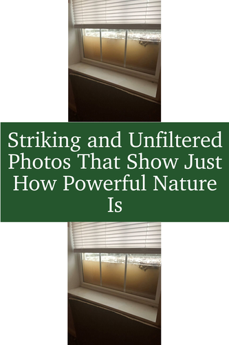 f530ae65 b4d6 4de2 a3b0 23e77161e9df.png