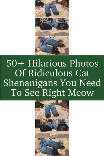 7b24d36f d0bd 40c9 986e 3fb559402ab7.png