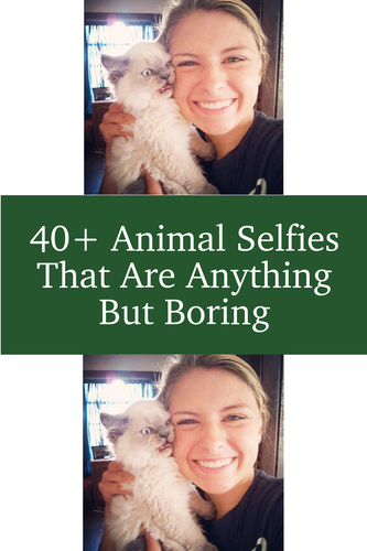 7eb25245 0e1d 4071 a1c1 cec8efa9a71f.png