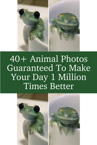 ae2b5acd 9a6f 4c51 bc15 49f88cc60db8.png