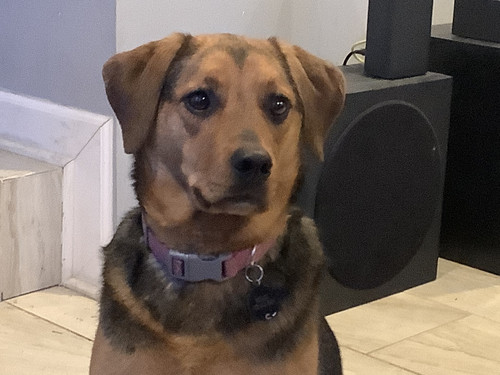 DA051B12 9A09 4ECB A5CA 9DFE67C32E29.jpg