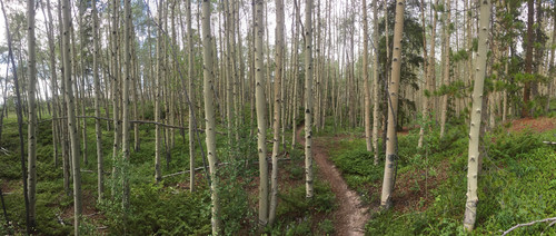 2022 07 21 13 30 23 IMG 9548.jpg