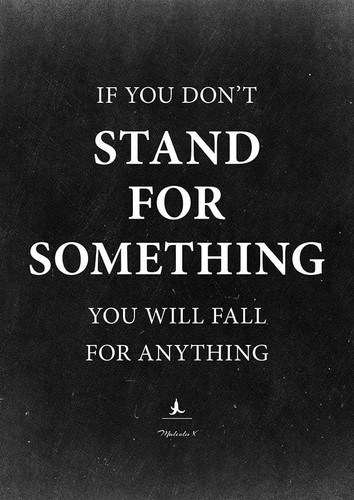 295310775 5748673158498533 3075083225746918582 n.jpg