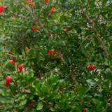 ezgif 4 100c76329a