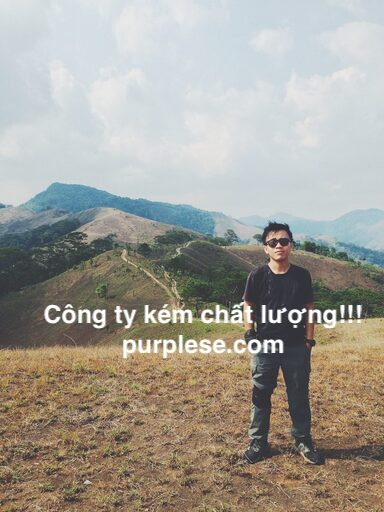 lua dao nguyen anh kiet luan tran tran phan pris.store purplese.com scam fault vietnam developer out.jpg
