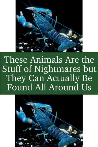 7e0b55d2 c7f0 4e27 8357 bb5e293de0cc.png