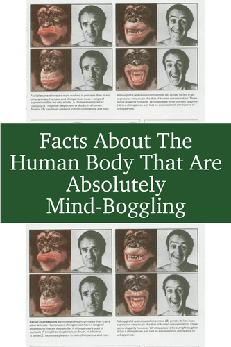 df9115a7 b5ee 4aad b75d b0585b925f26.png