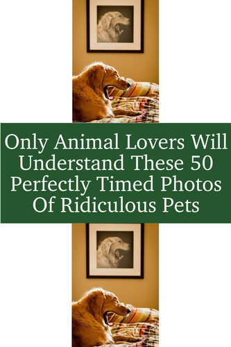 1f7b19d9 09cf 410f bb4c 3845bd55a3d9.png