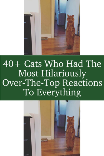 f38e5a30 f6d2 44f1 91c0 32471718bcdf.png