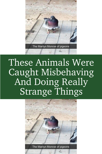 21fd34c6 fb80 4b7f aa25 a4d9f2571037.png