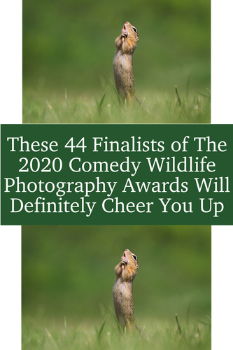 377ee29a 8fa2 4a5c 9ab7 30f1feec7e4a.png