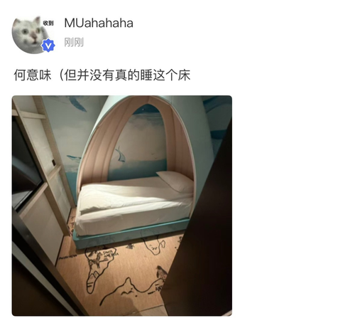 1000054480.png