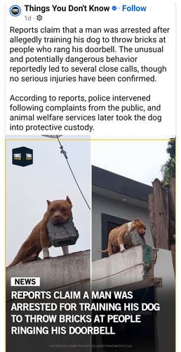 1000015507.png