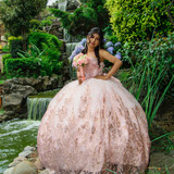 DSC 0332 (Copiar)