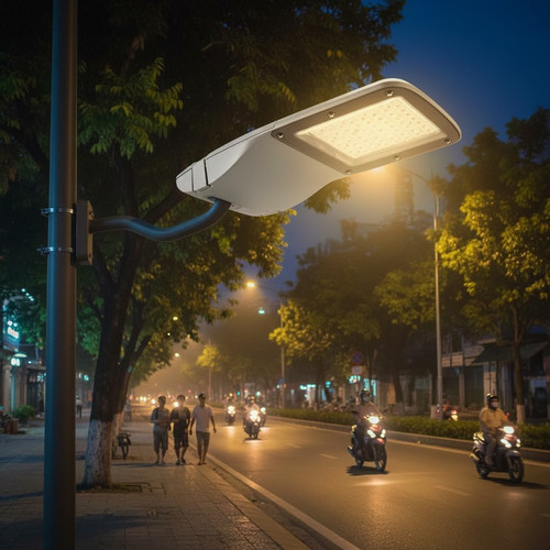 den duong streetlight led philips citilight ctl331apr led60 ww 50w 6000lm ip66 220 240v (4).jpg