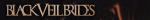 IMG 1184.gif