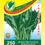8487be8ce10a.png