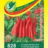 05a12992d1ec.png