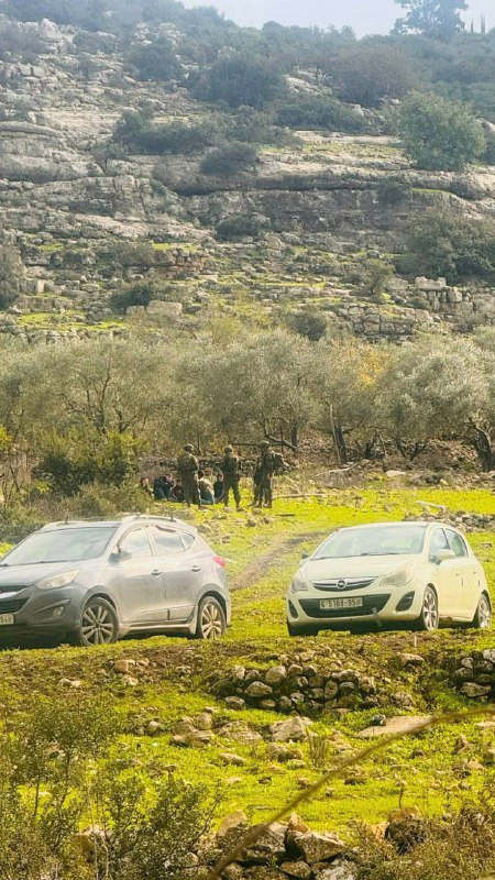 مصادر محلية: قوات الاحتلال تحتجز عددا من الفتية في وادي قانا شرق قلقيلية...