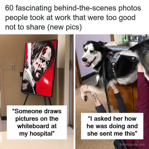 interesting pictures at work.jpg
