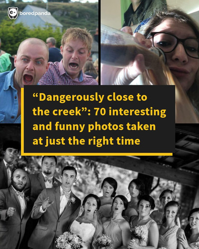 funny pics.jpg