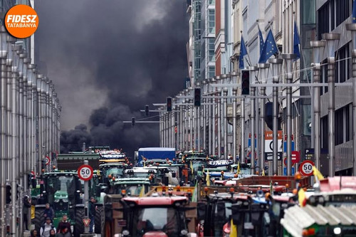 599940616 1234075442200059 2993786351107961826 n.jpg?stp=dst jpg p180x540 tt6& nc cat=101&ccb=1 7& n.jpg