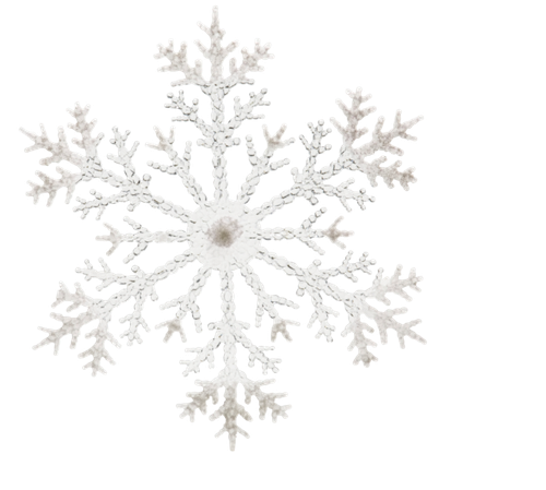 image 2025 12 20 203424739.png